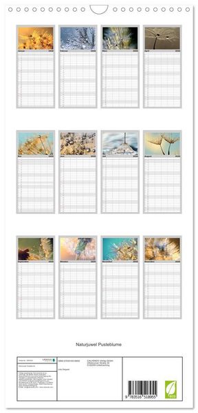 Produktbild: Familienplaner 2026 - Naturjuwel Pusteblume mit 5 Spalten (Wandkalender, 21 x 45 cm) CALVENDO