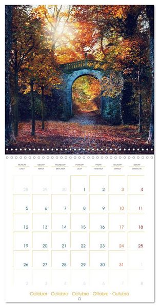 Produktbild: Romantic Dresden (Wall Calendar 2026 12 &times; 12 Inch) CALVENDO 12 Month Wall Calendar