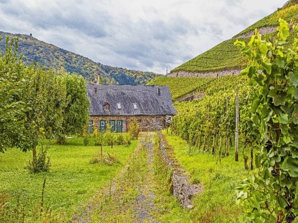 Produktbild: CALVENDO Puzzle Weingut im Ahrtal | 1000 Teile Lege-Gr&ouml;&szlig;e 64x48cm Foto-Puzzle f&uuml;r gl&uuml;ckliche Stunden