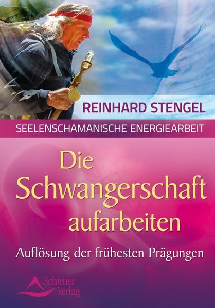 Produktbild: Die Schwangerschaftsmonate aufarbeiten