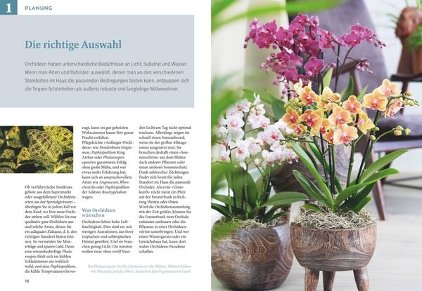 Produktbild: Orchideen pflegen