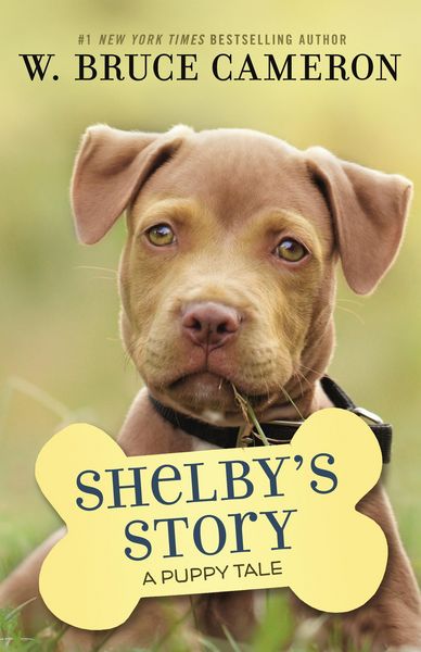 Produktbild: Shelby's Story