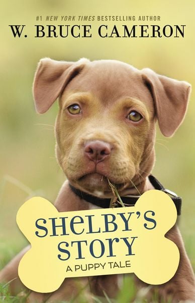 Produktbild: Shelby's Story