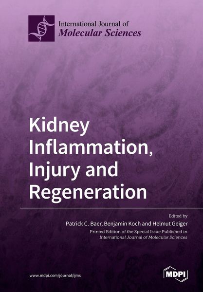 Produktbild: Kidney Inflammation, Injury and Regeneration