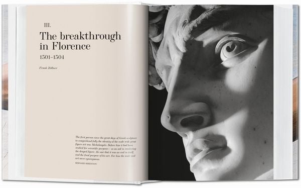 Produktbild: Michelangelo. Das vollst&auml;ndige Werk. Malerei, Skulptur, Architektur