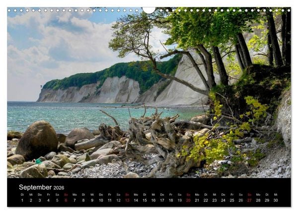 Produktbild: Baum-Variationen (Wandkalender 2026 DIN A3 quer), CALVENDO Monatskalender