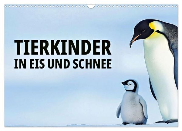 Produktbild: Tierkinder in Eis und Schnee (Wandkalender 2026 DIN A3 quer), CALVENDO Monatskalender