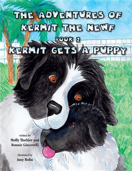 Produktbild: Adv of Kermit the Newf