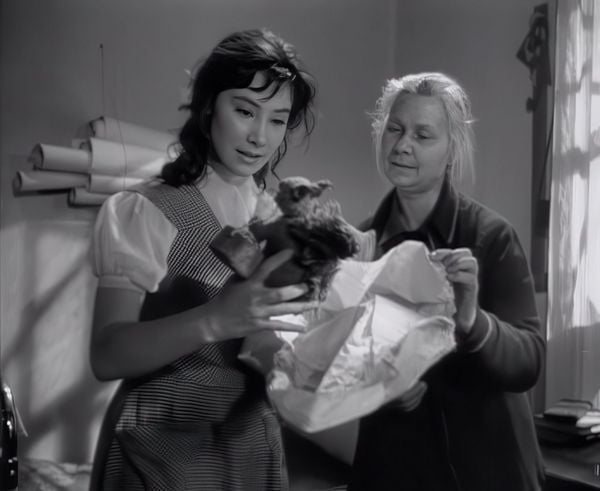 Produktbild: Wenn die Kraniche ziehen - Special Restored Edition (DEFA Filmjuwelen)