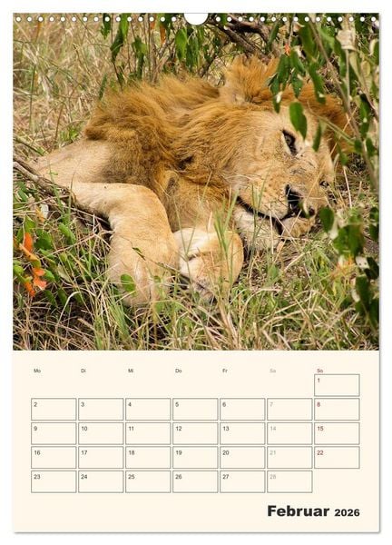 Produktbild: Kenia &ndash; Terminplaner (Wandkalender 2026 DIN A3 hoch), CALVENDO Monatskalender