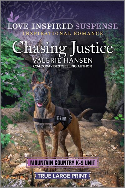 Produktbild: Chasing Justice