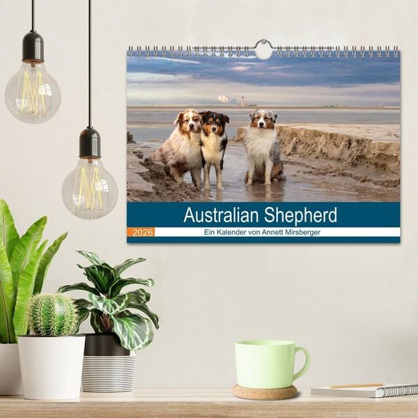Produktbild: Australian Shepherd 2026 (Wandkalender 2026 DIN A4 quer), CALVENDO Monatskalender