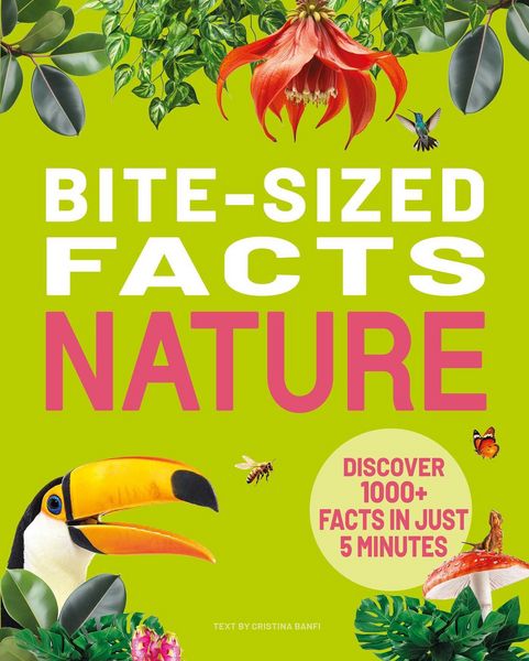 Produktbild: Bite-Sized Facts: Nature