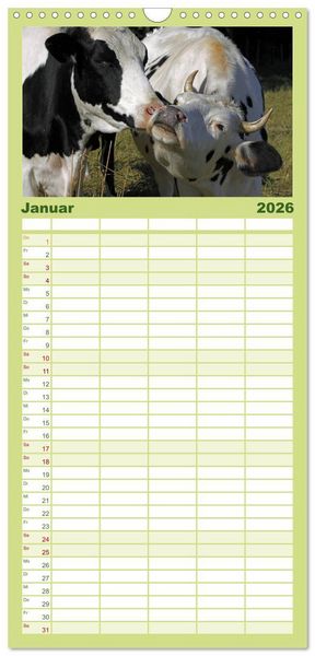 Produktbild: Familienplaner 2026 - Muuuhhh! mit 5 Spalten (Wandkalender, 21 x 45 cm) CALVENDO