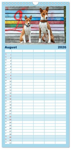 Produktbild: Familienplaner 2026 - Basenji-Sch&ouml;nheiten mit 5 Spalten (Wandkalender, 21 x 45 cm) CALVENDO