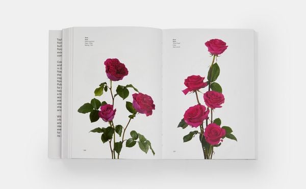 Produktbild: Flower Colour Guide