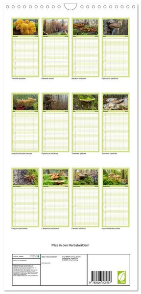 Produktbild: Familienplaner 2026 - Pilze in den Herbstw&auml;ldern mit 5 Spalten (Wandkalender, 21 x 45 cm) CALVENDO