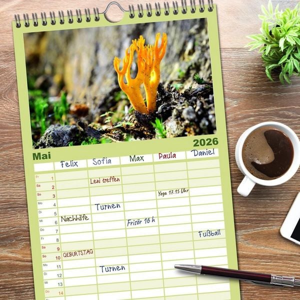 Produktbild: Familienplaner 2026 - Schwammerl Egerlinge Pilze mit 5 Spalten (Wandkalender, 21 x 45 cm) CALVENDO
