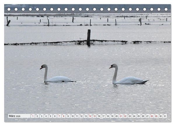 Produktbild: Hochwasser als Teil der Umwelt (Tischkalender 2026 DIN A5 quer), CALVENDO Monatskalender