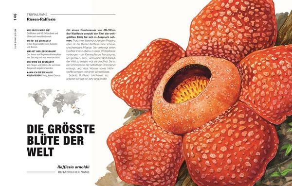 Produktbild: Kuriose Pflanzen