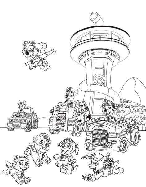Produktbild: PAW Patrol Wasserzauber - Wassermalbuch ab 3 Jahre