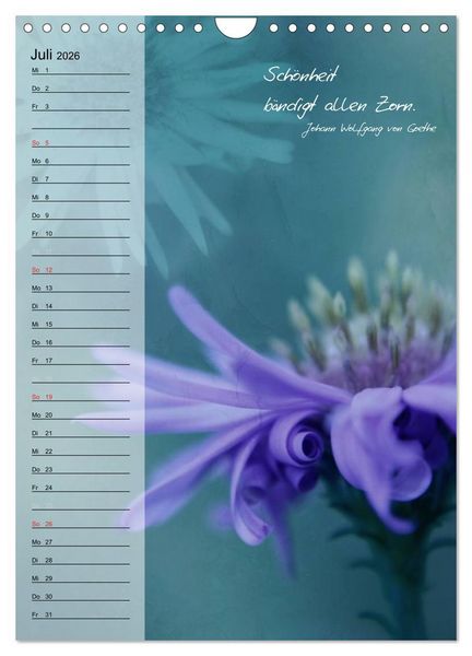 Produktbild: Blumen & Zitate / Geburtstagskalender (Wandkalender 2026 DIN A4 hoch), CALVENDO Monatskalender