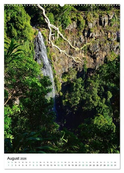 Produktbild: Regenwald - Australien (hochwertiger Premium Wandkalender 2026 DIN A2 hoch), Kunstdruck in Hochglanz
