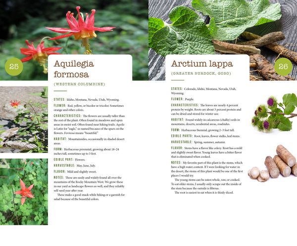 Produktbild: 437 Edible Wild Plants of the Rocky Mountain West