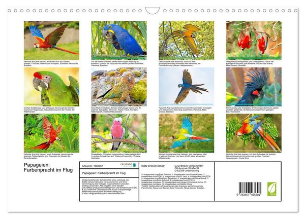 Produktbild: Papageien: Farbenpracht im Flug (Wandkalender 2026 DIN A3 quer), CALVENDO Monatskalender