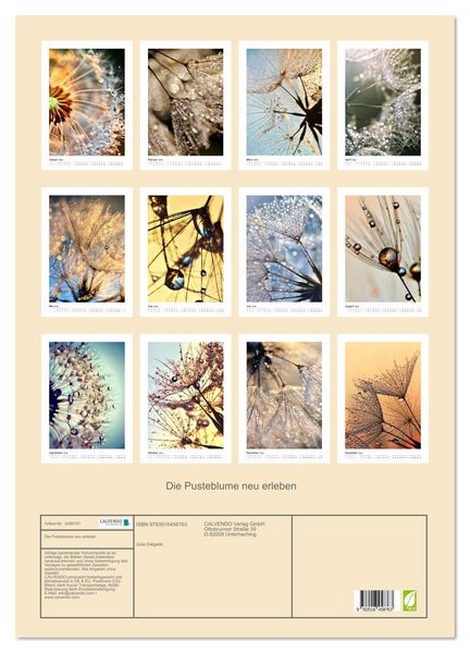 Produktbild: Die Pusteblume neu erleben (Wandkalender 2026 DIN A2 hoch), CALVENDO Monatskalender