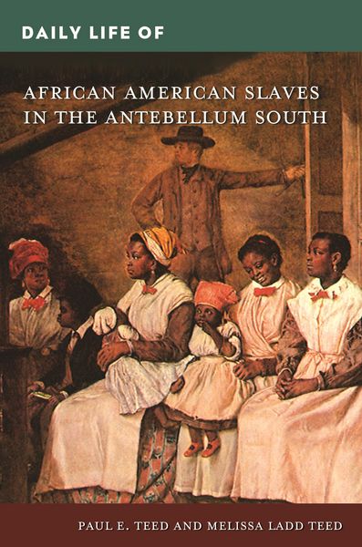 Produktbild: Daily Life of African American Slaves in the Antebellum South