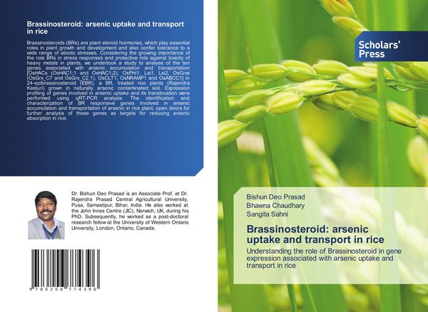 Produktbild: Brassinosteroid: arsenic uptake and transport in rice