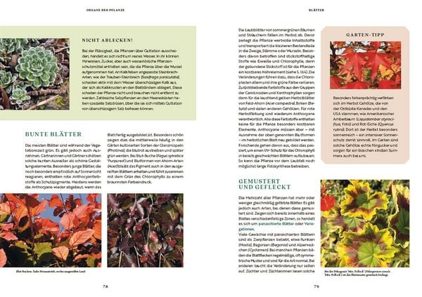 Produktbild: Gartenbotanik