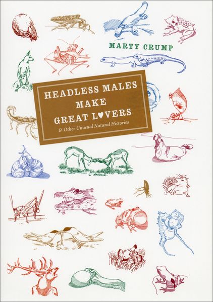 Produktbild: Headless Males Make Great Lovers