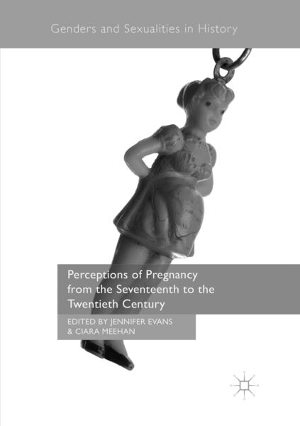 Produktbild: Perceptions of Pregnancy from the Seventeenth to the Twentieth Century