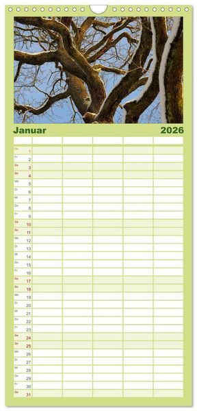 Produktbild: Familienplaner 2026 - B&auml;ume 2026 mit 5 Spalten (Wandkalender, 21 x 45 cm) CALVENDO