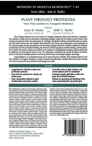 Produktbild: Plant Virology Protocols