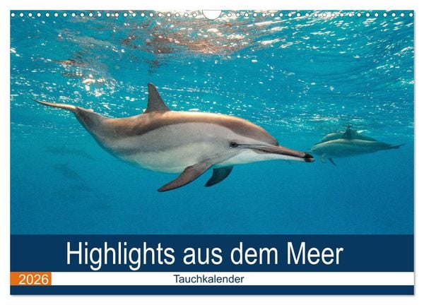 Produktbild: Highlights aus dem Meer - Tauchkalender (Wandkalender 2026 DIN A3 quer), CALVENDO Monatskalender