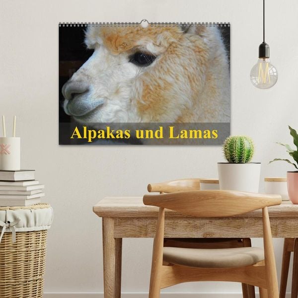 Produktbild: Alpakas und Lamas (Wandkalender 2026 DIN A3 quer), CALVENDO Monatskalender