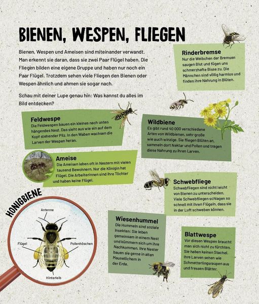 Produktbild: Mein Lupenbuch Tiere und Pflanzen