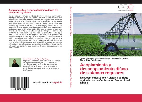 Produktbild: Acoplamiento y desacoplamiento difuso de sistemas regulares