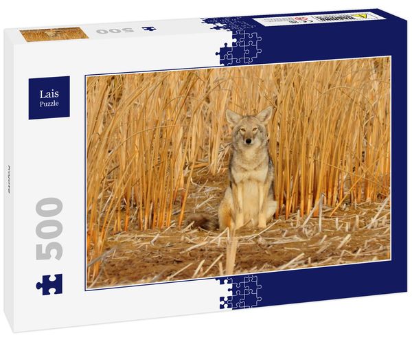 Lais Puzzle Kojote 500 Teile