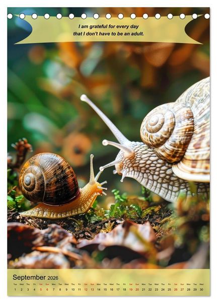 Produktbild: A year of greatfullness with funny animals (Desk Calendar 2026 DIN A5 portrait), CALVENDO 12 Month DeskCalendar