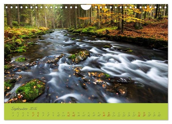 Produktbild: Der Bayerische Wald (Wandkalender 2026 DIN A4 quer), CALVENDO Monatskalender