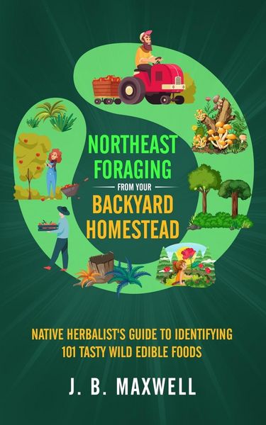 Produktbild: Northeast Foraging from Your Backyard Homestead