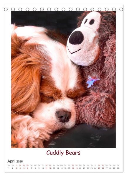 Produktbild: The Adventurous Life of two Daring Cavaliers (Desk Calendar 2026 DIN A5 portrait), CALVENDO 12 Month DeskCalendar