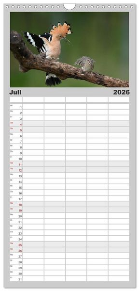 Produktbild: Familienplaner 2026 - V&ouml;gel, Gefiederte Sch&ouml;nheiten mit 5 Spalten (Wandkalender, 21 x 45 cm) CALVENDO
