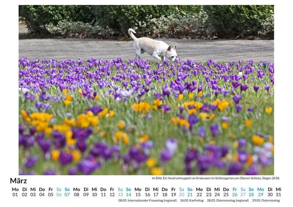 Produktbild: Tiere in der Natur