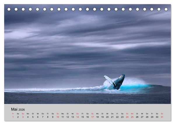 Produktbild: Am Meer. Sehnsucht Wasser (Tischkalender 2026 DIN A5 quer), CALVENDO Monatskalender