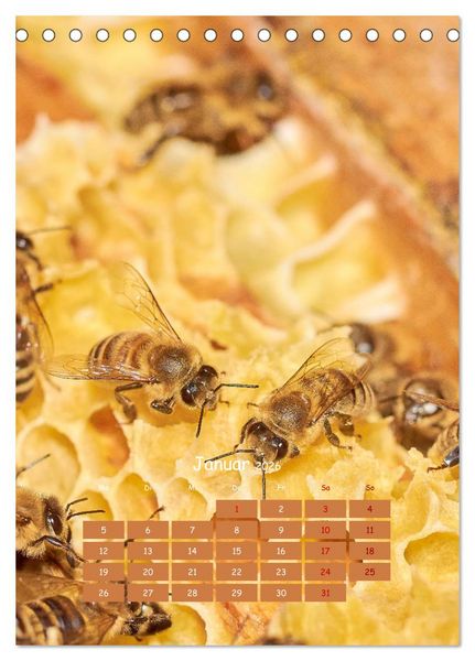 Produktbild: Gesch&auml;ftig wie im Bienenstock (Tischkalender 2026 DIN A5 hoch), CALVENDO Monatskalender